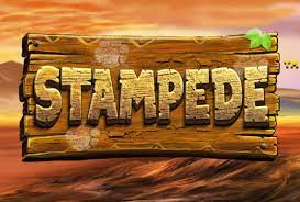 Stampede Gold Slot (BetSoft) Review